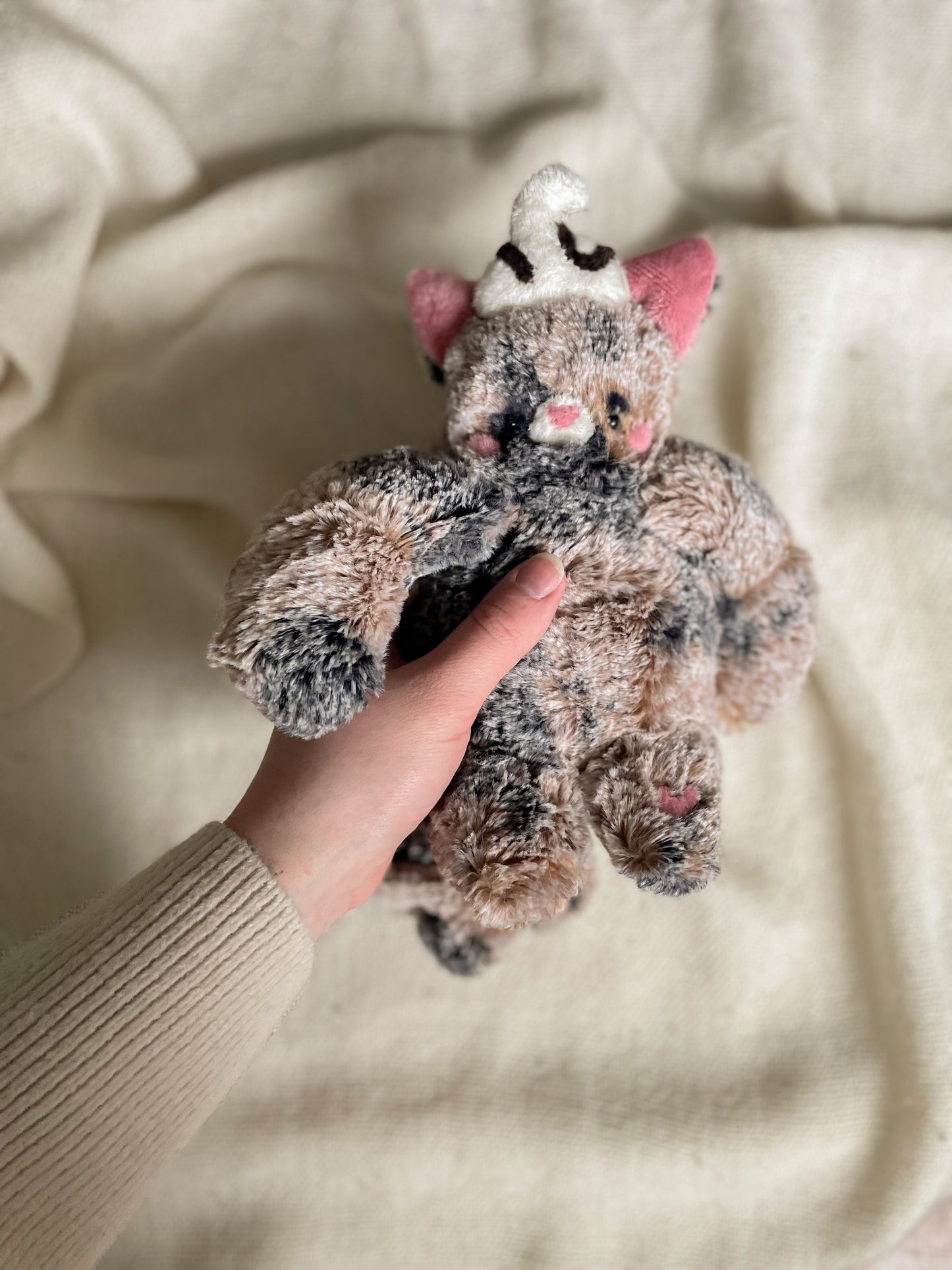 Jamie the Mud Pie Cat