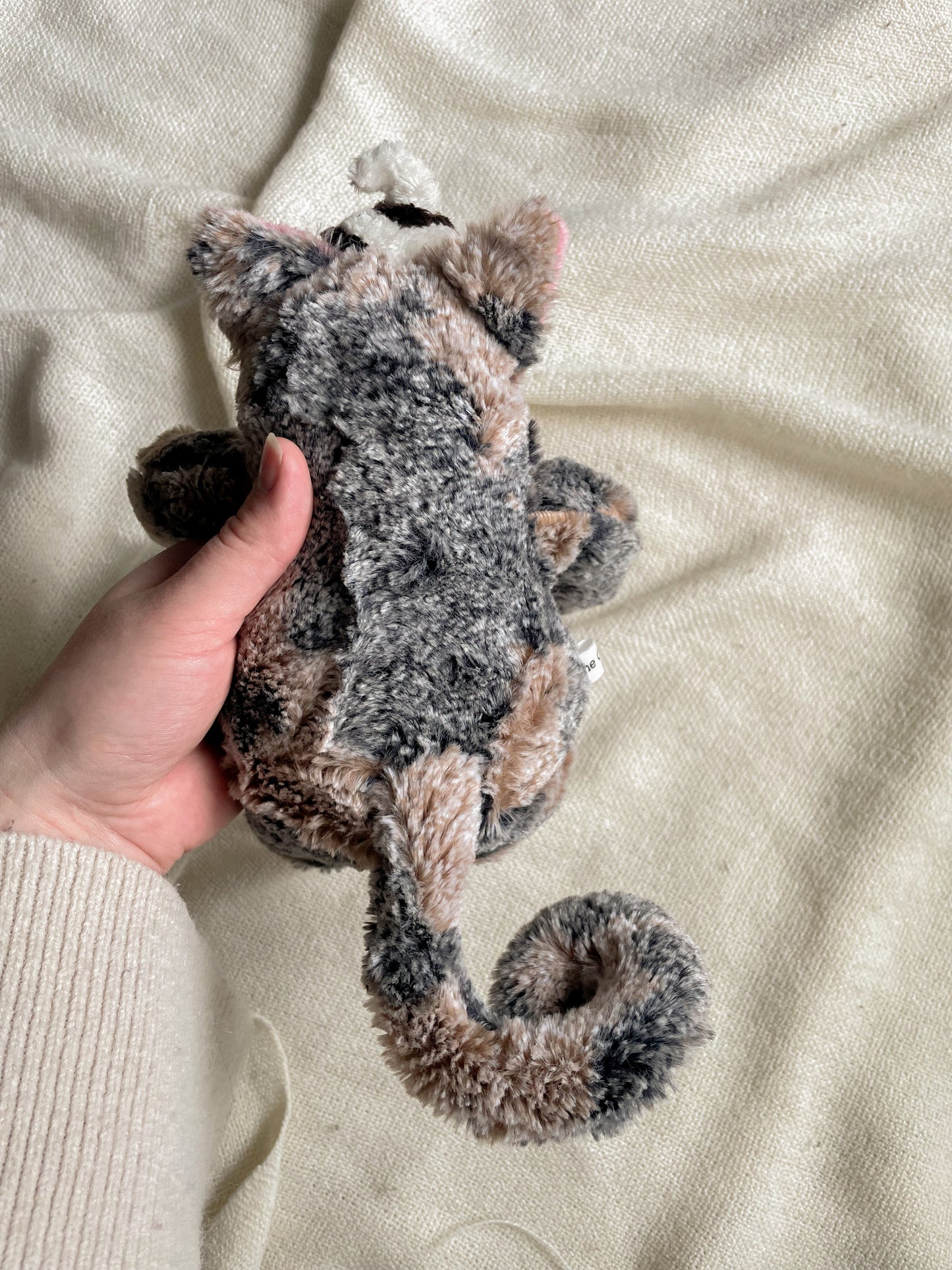 Jamie the Mud Pie Cat