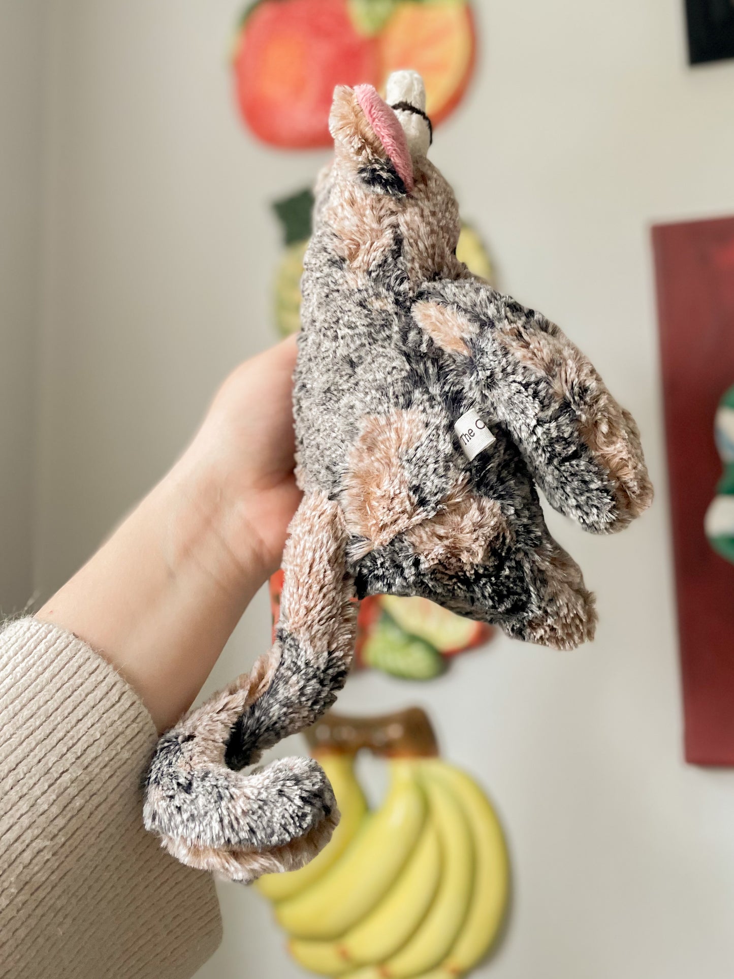 Jamie the Mud Pie Cat