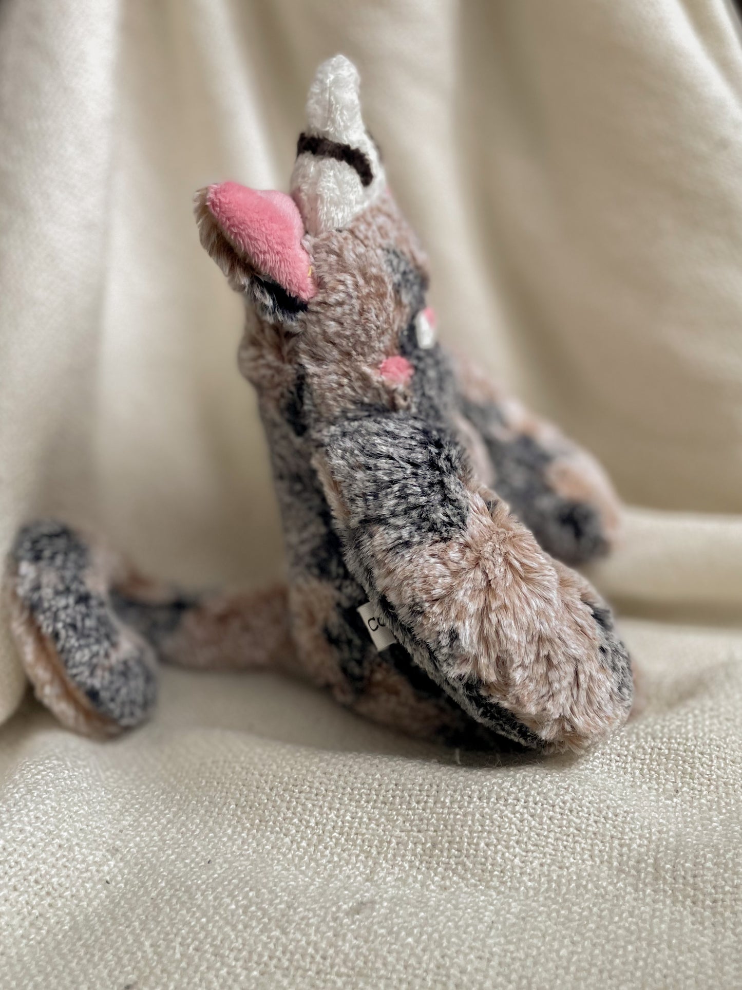 Jamie the Mud Pie Cat