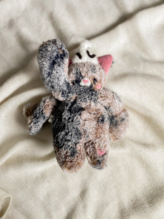 Jamie the Mud Pie Cat