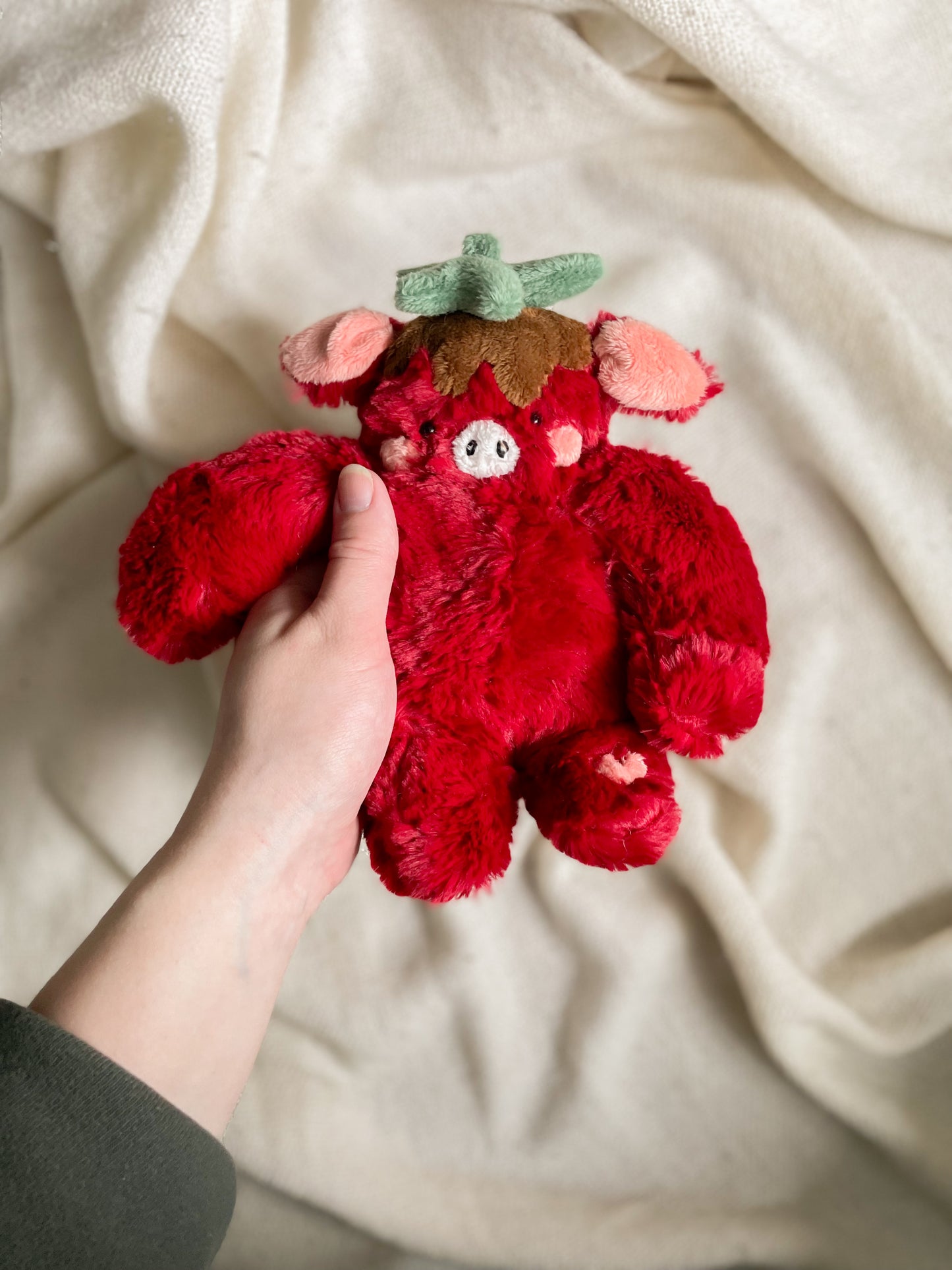 Jerry the Chocolate Covered Strawberry Cow